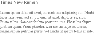 Times New Roman - Windows